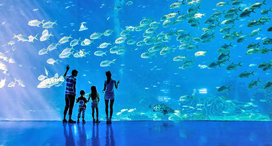 Beijing Aquarium